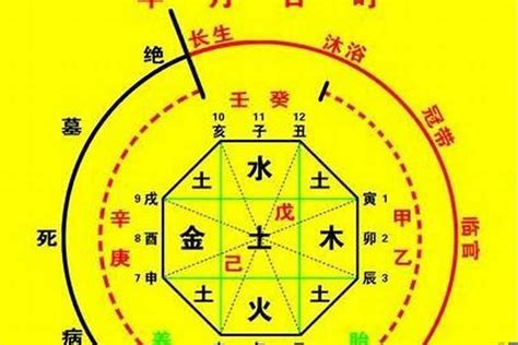 金運之命 意思|八字神煞解析——金輿